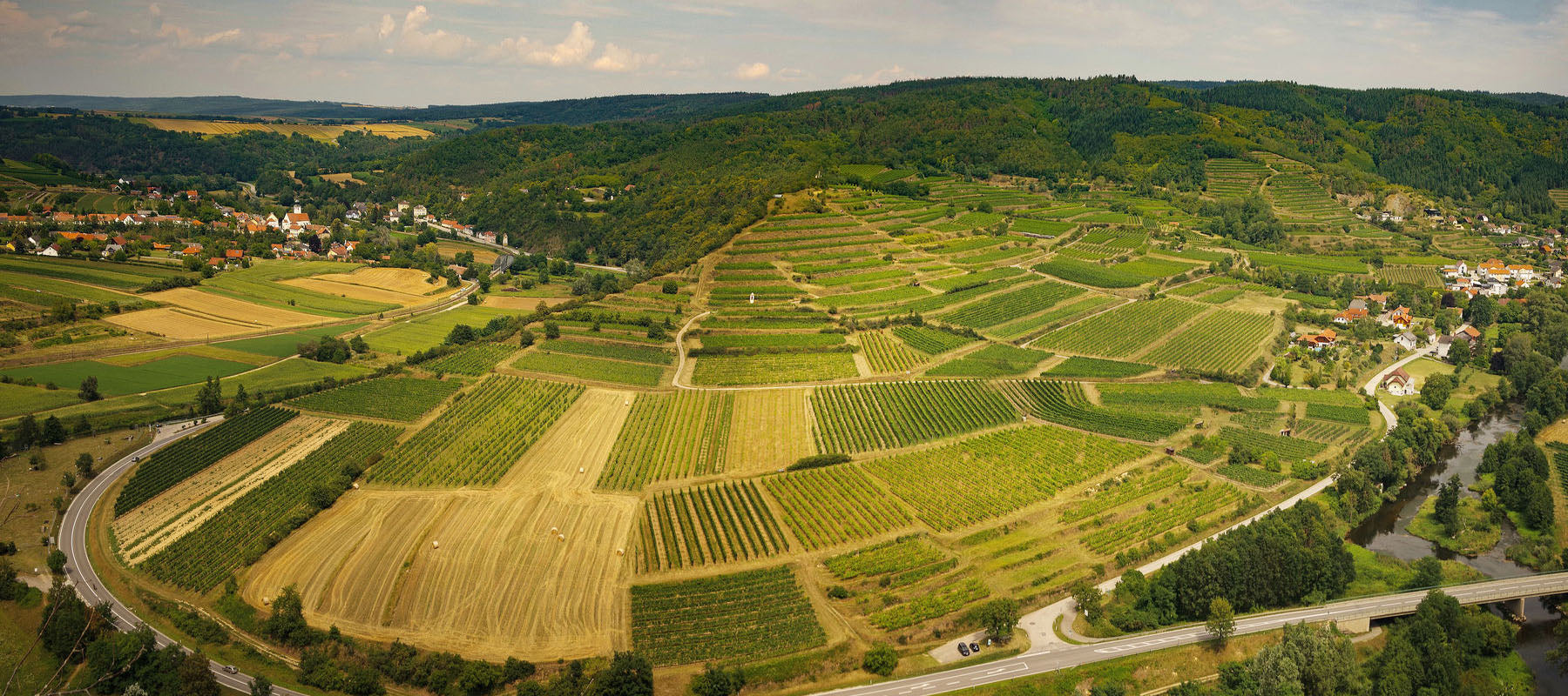 Region Spotlight: Niederösterreich (Lower Austria) – SOMA Wines